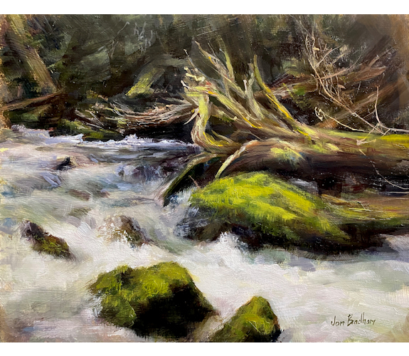 "Deep Forest Meadow Creek" - Jon Bradham